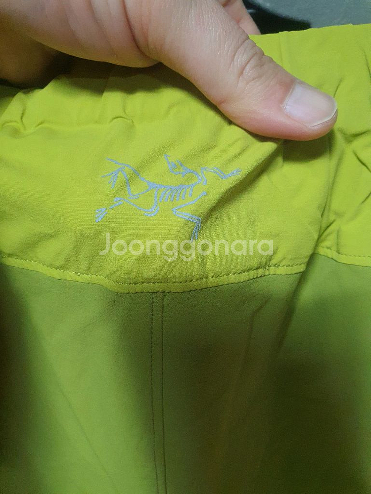 아크테릭스 반바지--2