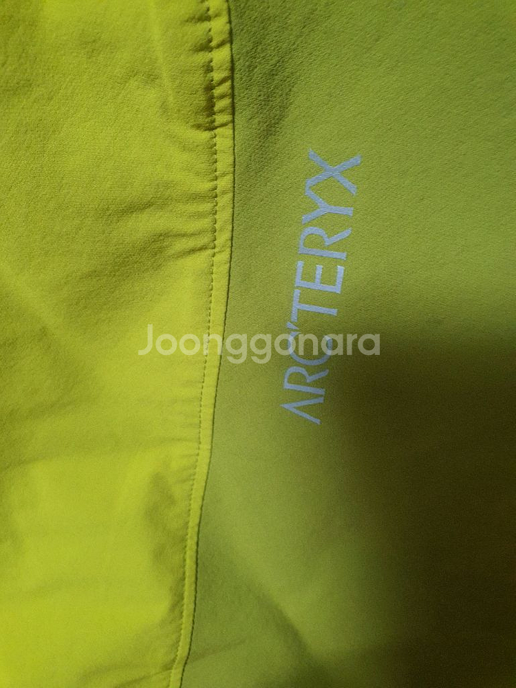 아크테릭스 반바지--3