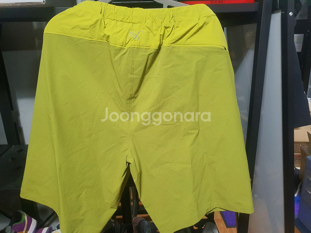 아크테릭스 반바지--1