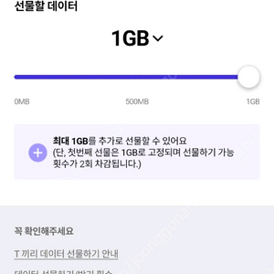 SKT 데이터 선물권