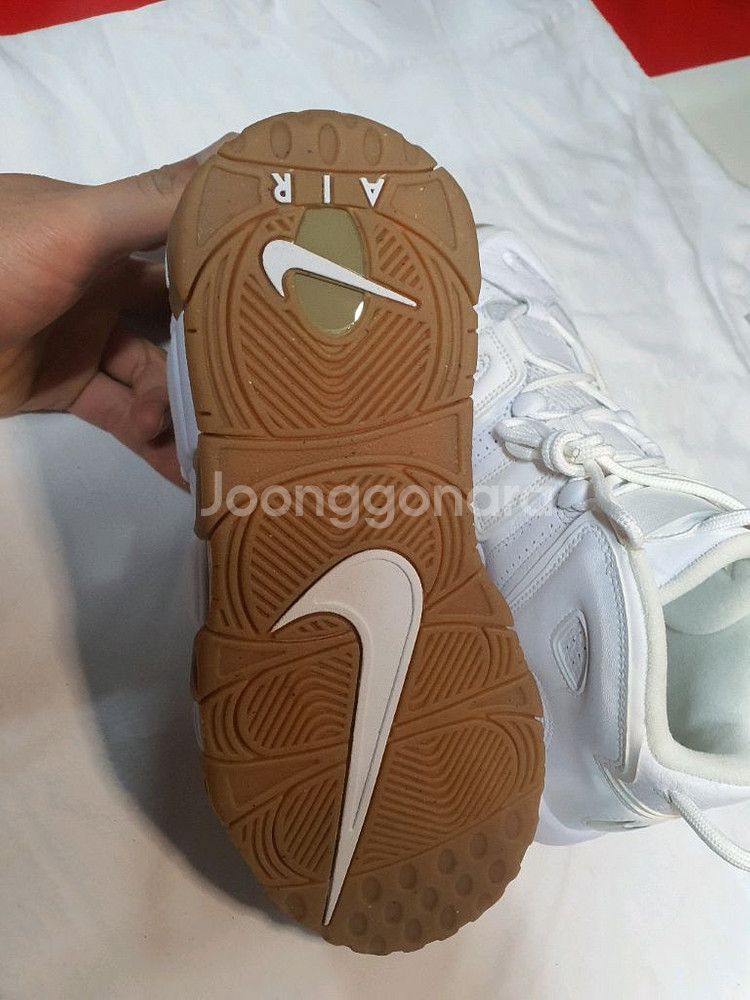 업템포 255 흰색--1