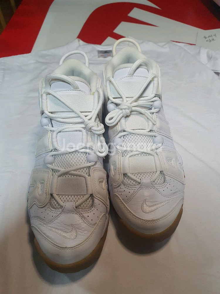 업템포 255 흰색--3