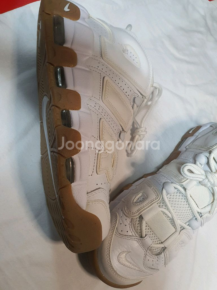 업템포 255 흰색--4