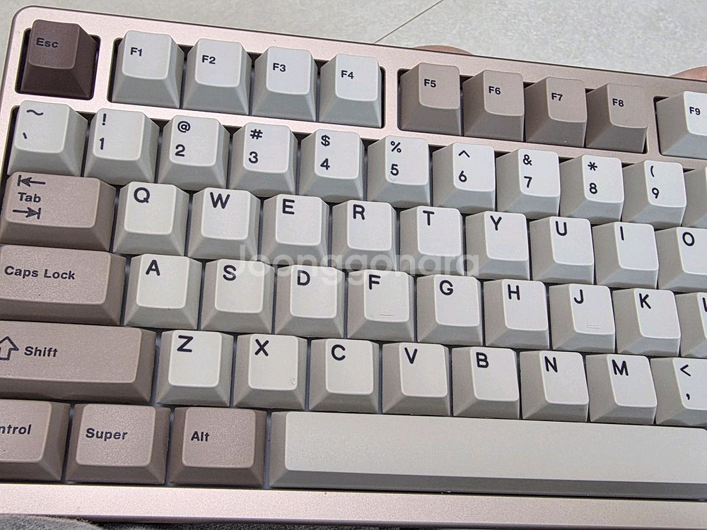 evo80 로즈골드 oat+pp 팝니다 (판매완료)--1