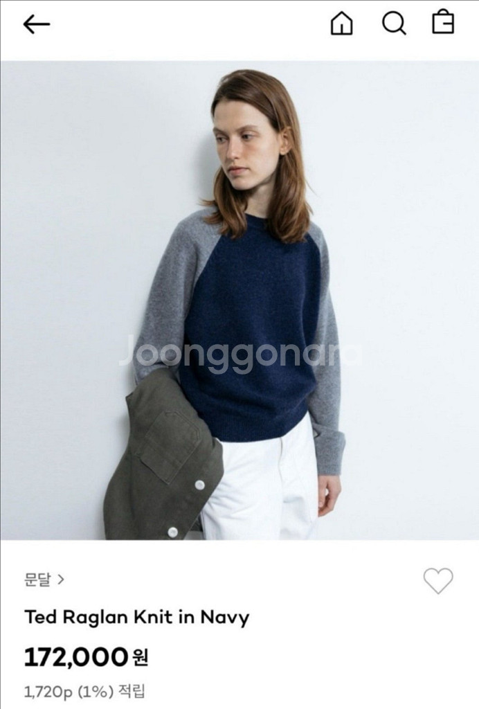 문달 Ted 테드 레글런 니트 - 네이비--1