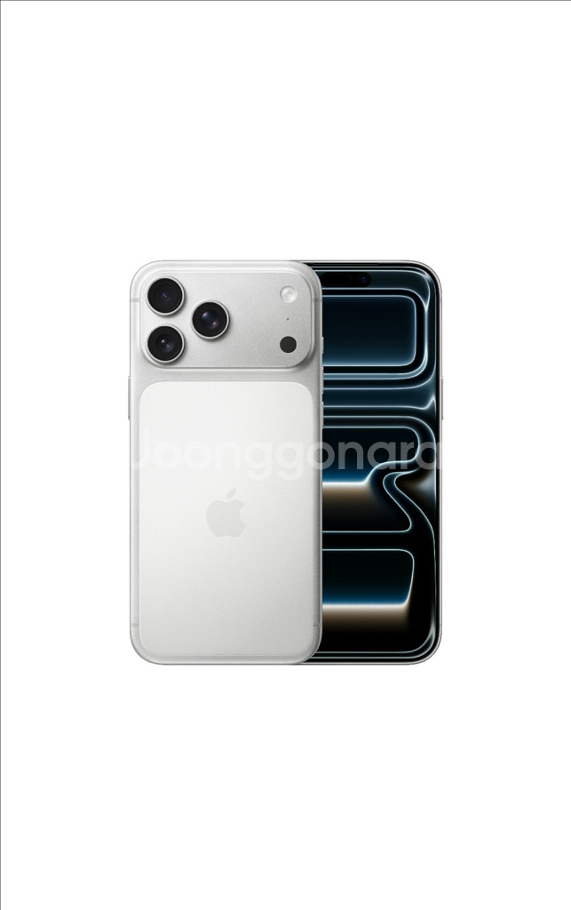 아이폰17 프로맥스 실버 1테라 자급제 미개봉팝니다--0