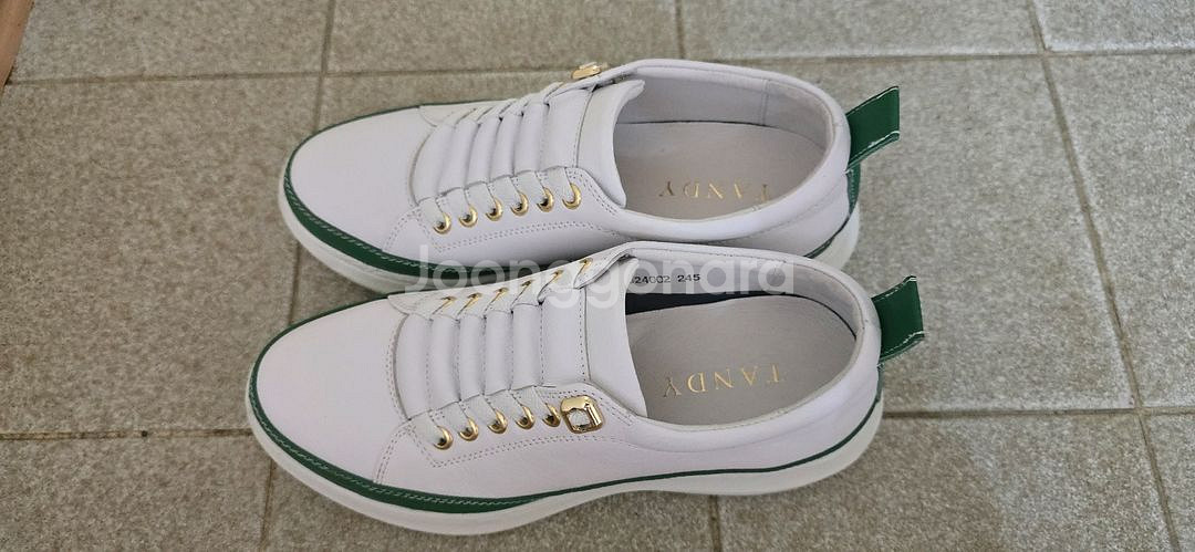 탠디 렌드로바--0