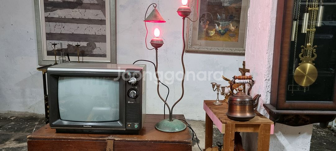 골드스타 14인치 브라운관 TVㆍ비디오--4