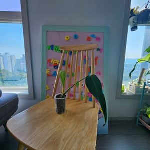 몬스테라 딜라체라타