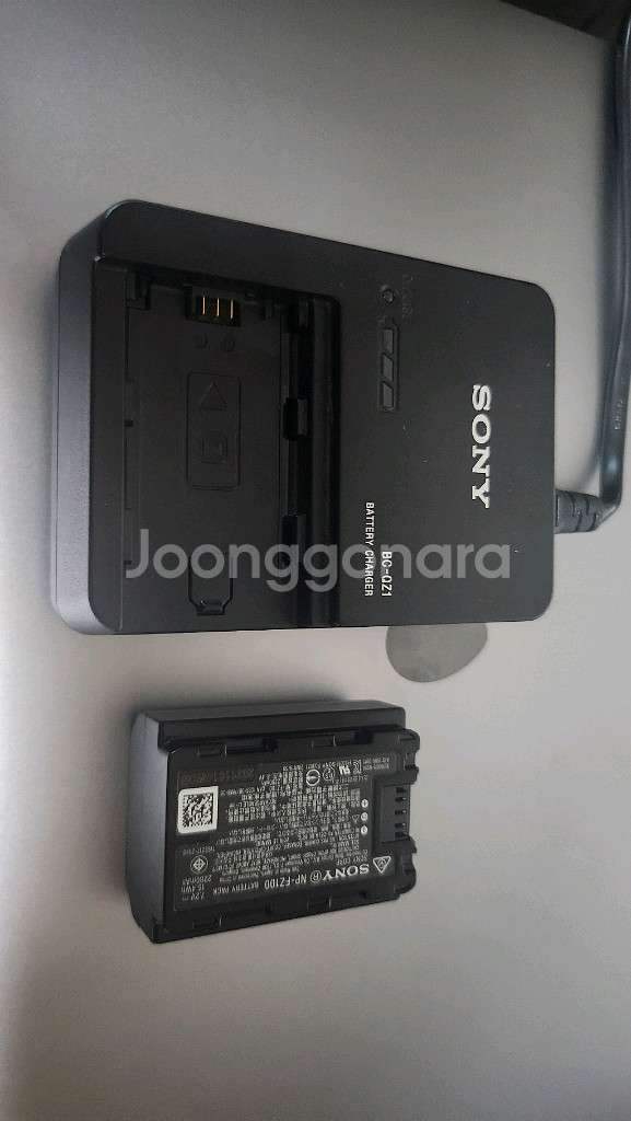 소니 NP-FZ100 배터리+ 전용 충전기--0