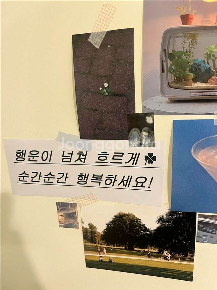 프셉마음 38권 전권 7만원에 판매합니다. (3일만)--0