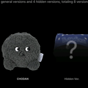 qwer 쵸단 보이스키링 히든 삽니다