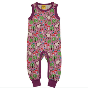 던스 보라돼지 덩가리 74