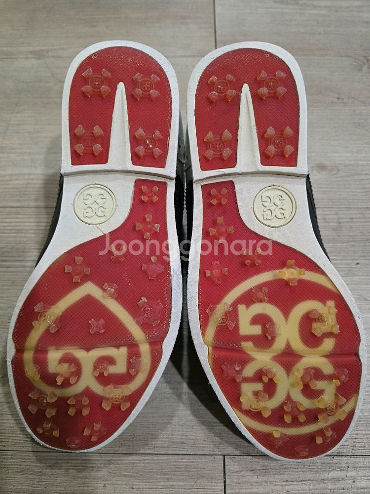 지포어 골프 클래식 프리미어 스파이크리스 골프화 235mm--5