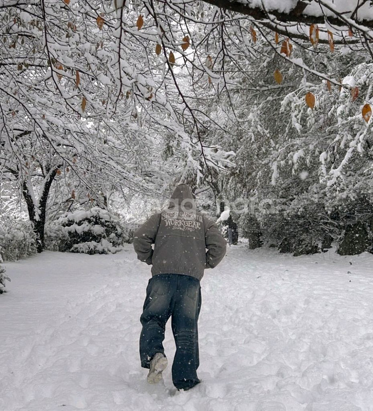 [XL] 스투시 워크 자켓 콘트라스트 스티치 그레이--3