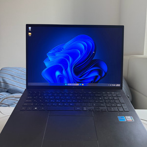 LG Gram 17 (i5 11세대,512g,램16)