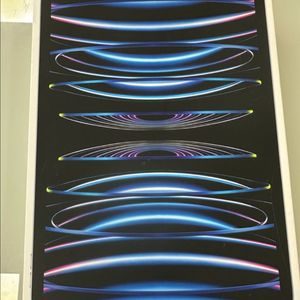 아이패드 프로 4세대 11인치 256GB