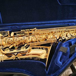 알토 색소폰 폴모리아 PMXA-67RX GOLD + 헨리&크리스찬 마우스피스