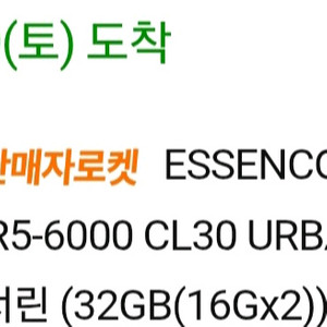 에센코어 ddr5 16기가 2개 세트 서린