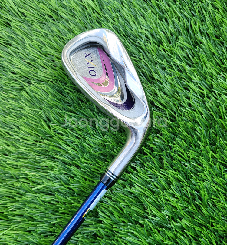 여성용 젝시오 MP900 5번 아이언--0