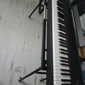 엠오디오 hammer 88 건반 판매합니다.