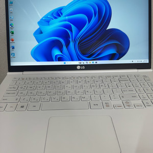 LG 그램 15Z990 i5