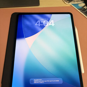 아이패드 프로 m4 13인치 256기가 7세대+애펜프로