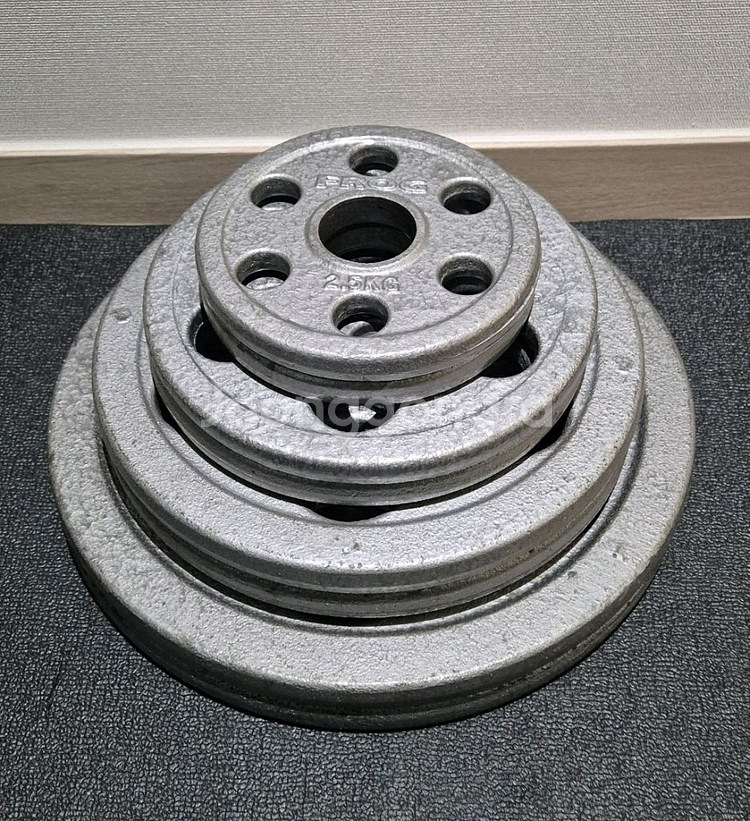 (택포) 65KG 중량 원판 바벨 플레이트 플러그피트니스 6홀--0