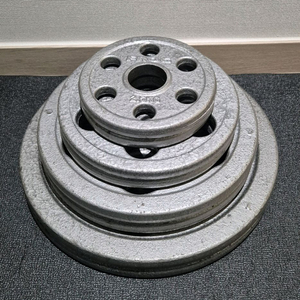 (택포) 65KG 중량 원판 바벨 플레이트 플러그피트니스 6홀