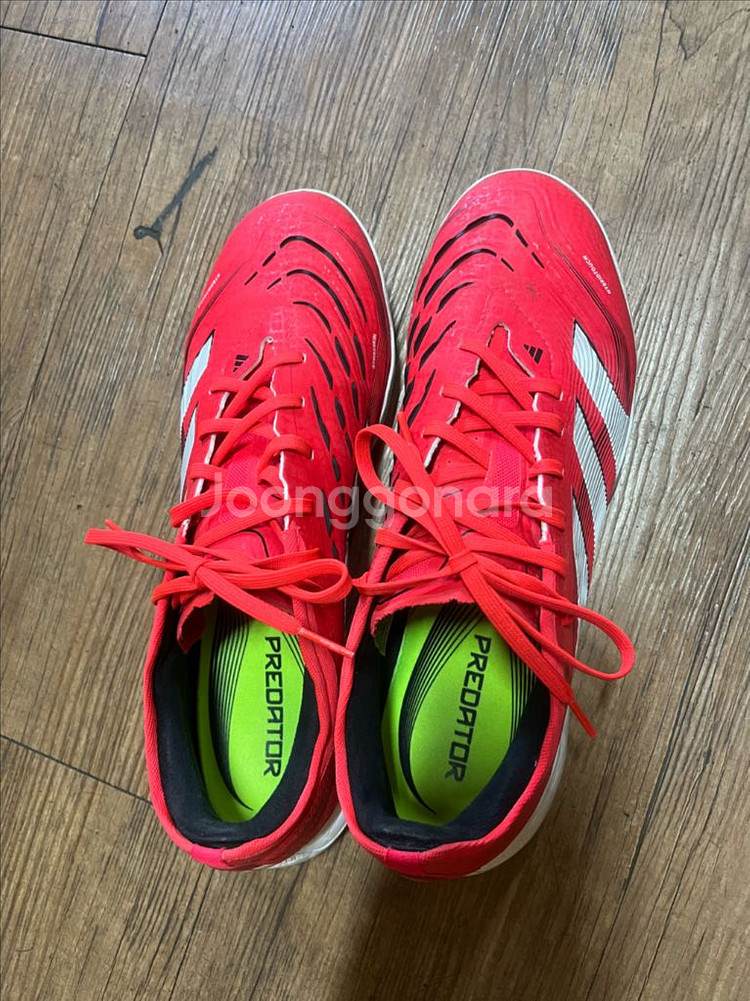 아디다스 프레데터 프로등급 TF 풋살화--0