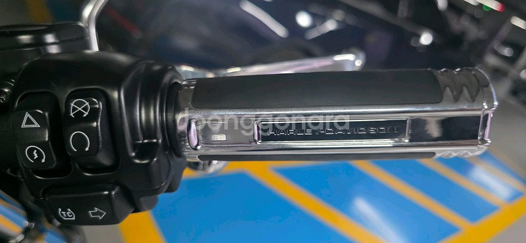 할리데이비슨 브레이크아웃--9