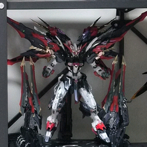 무한신성 네미시스 가조 팝니다.