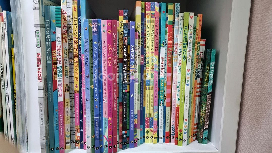 사파리 똑똑 모두누리, 워크북, 키콜펜 포함--0