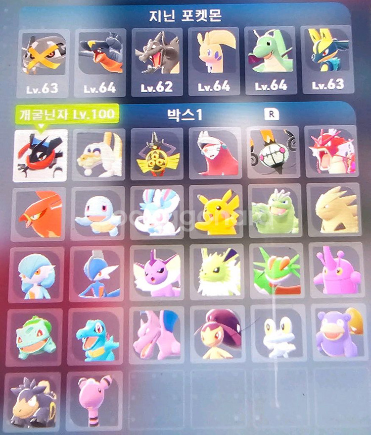 (최저가)포켓몬스터 레전드za 이로치 우두머리 우두로치--0