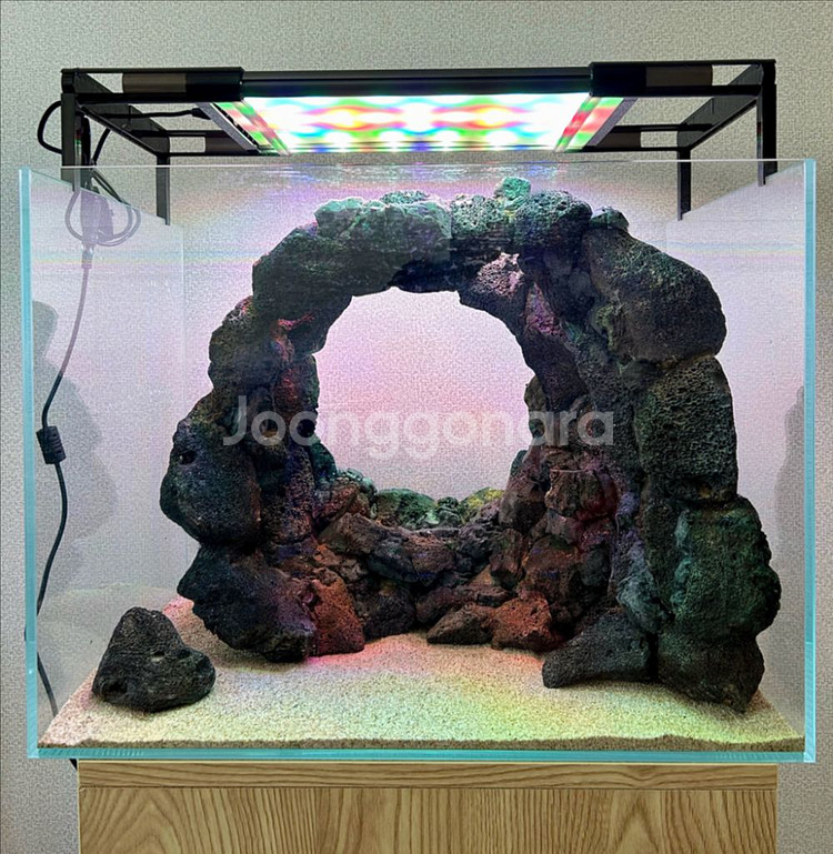 동굴 레이아웃 어항 (배송가능)--0