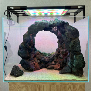 동굴 레이아웃 어항 (배송가능)