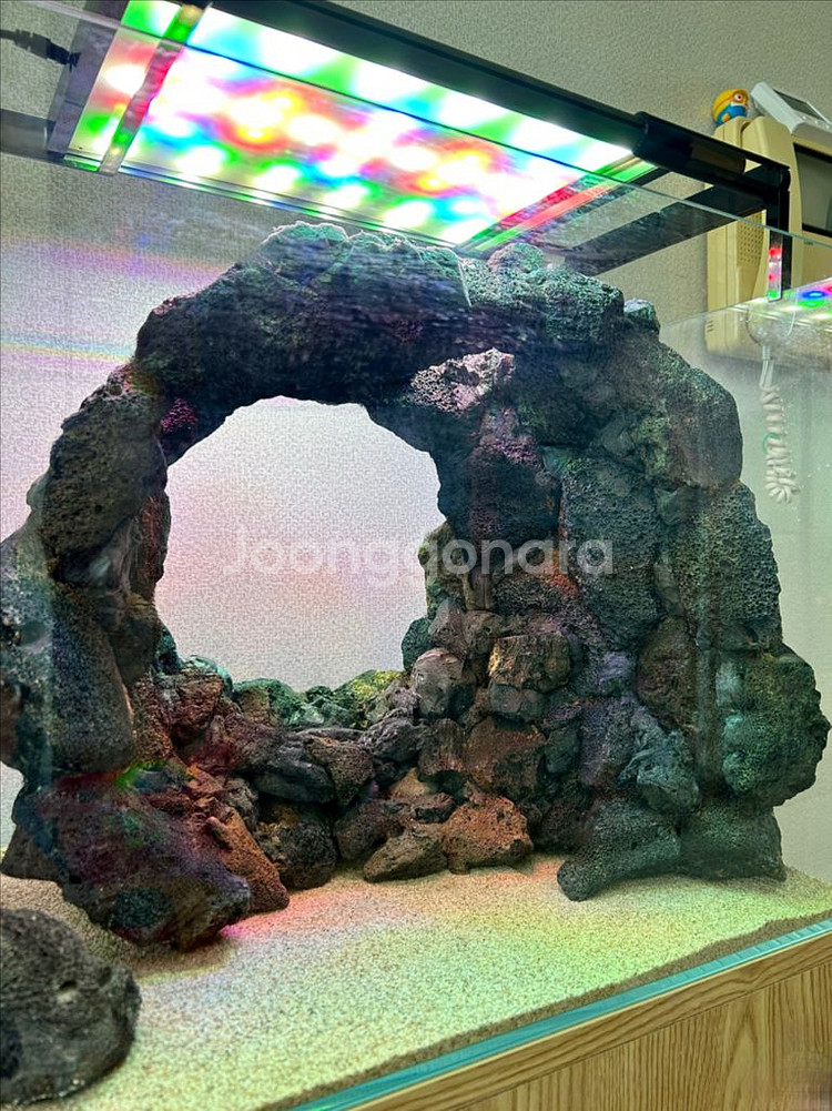 동굴 레이아웃 어항 (배송가능)--1