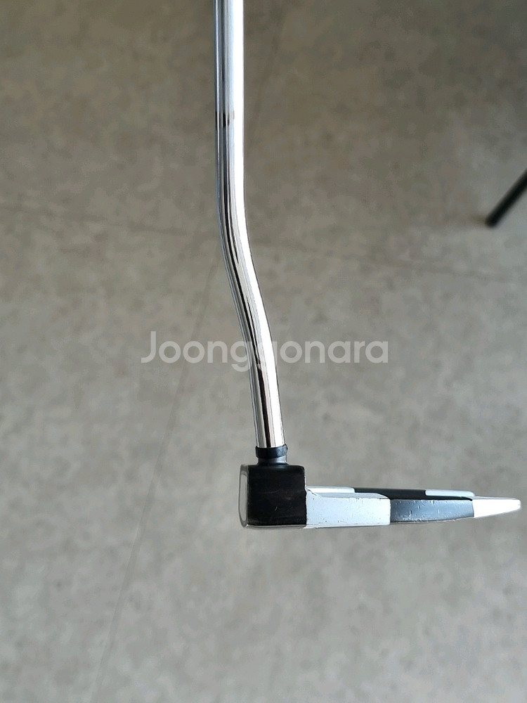 오디세이 제일버드 버사 퍼터 (2014년 모델) 클라크--5