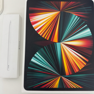 아이패드 프로 5세대 12.9 셀룰러 256+애플펜슬2