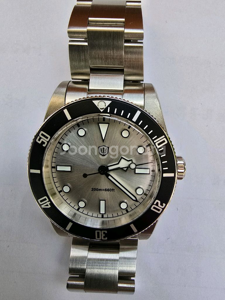 Watch Dives 쿼츠시계--1