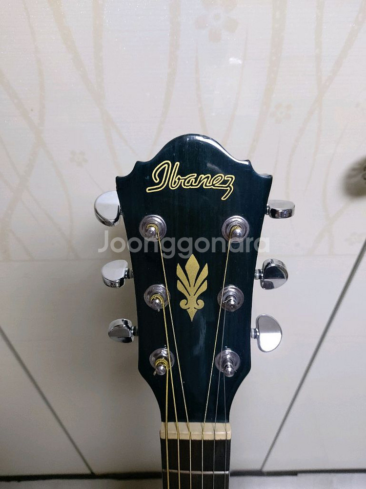 아이바네즈 픽업 통기타 + 가방--1