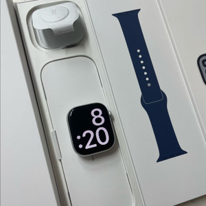 애플워치10 46mm 실버 SSS급