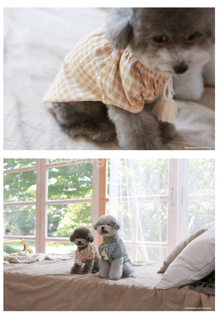 강아지옷 꼬모프랑쉬 체크 테슬 블라우스셔츠 XL--2