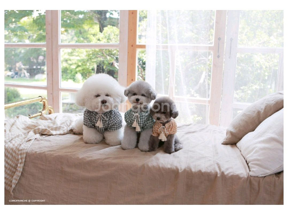 강아지옷 꼬모프랑쉬 체크 테슬 블라우스셔츠 XL--3