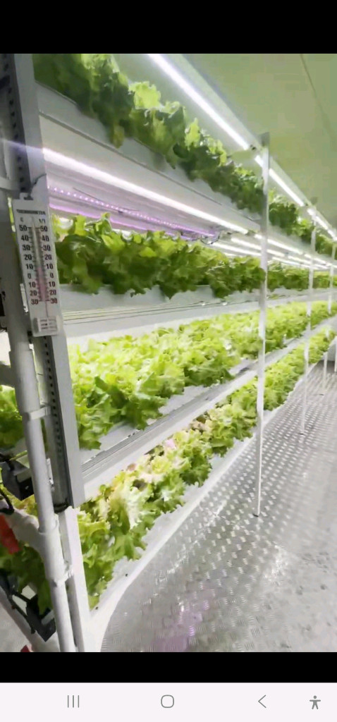 컨테이너형 스마트팜 수경식 이미지