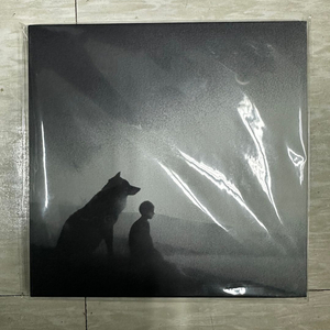 스피츠(Spitz) 싱글 7" LP 팝니다.