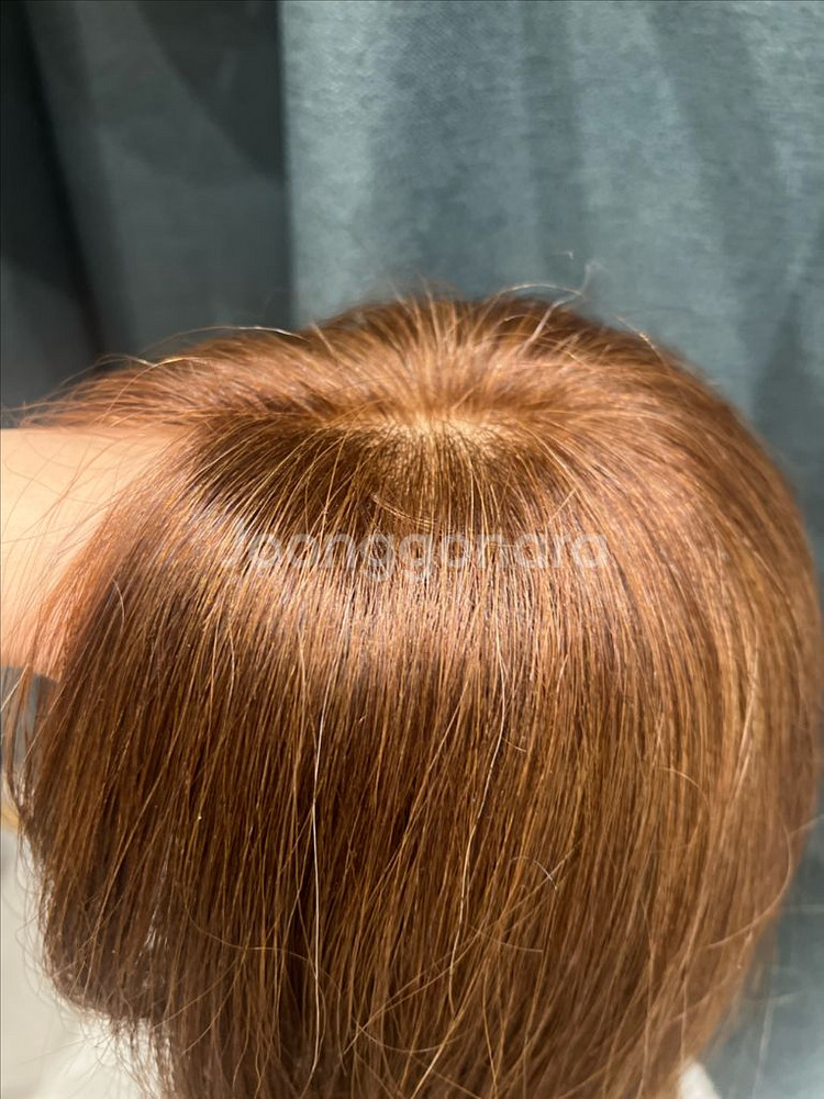인모 100프로 통가발 판매합니다 / 하이모 박승철 수제가발 인모가발 리네아스토리아 가발나라 탈모가발 인모가발--9