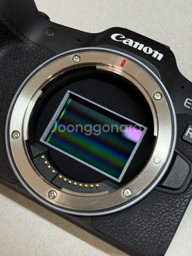 캐논 EOS R8 + RF 24-105 L 팝니다.--2