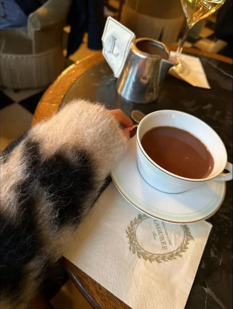 더로랑 하운드투스 모헤어 니트 코트--2