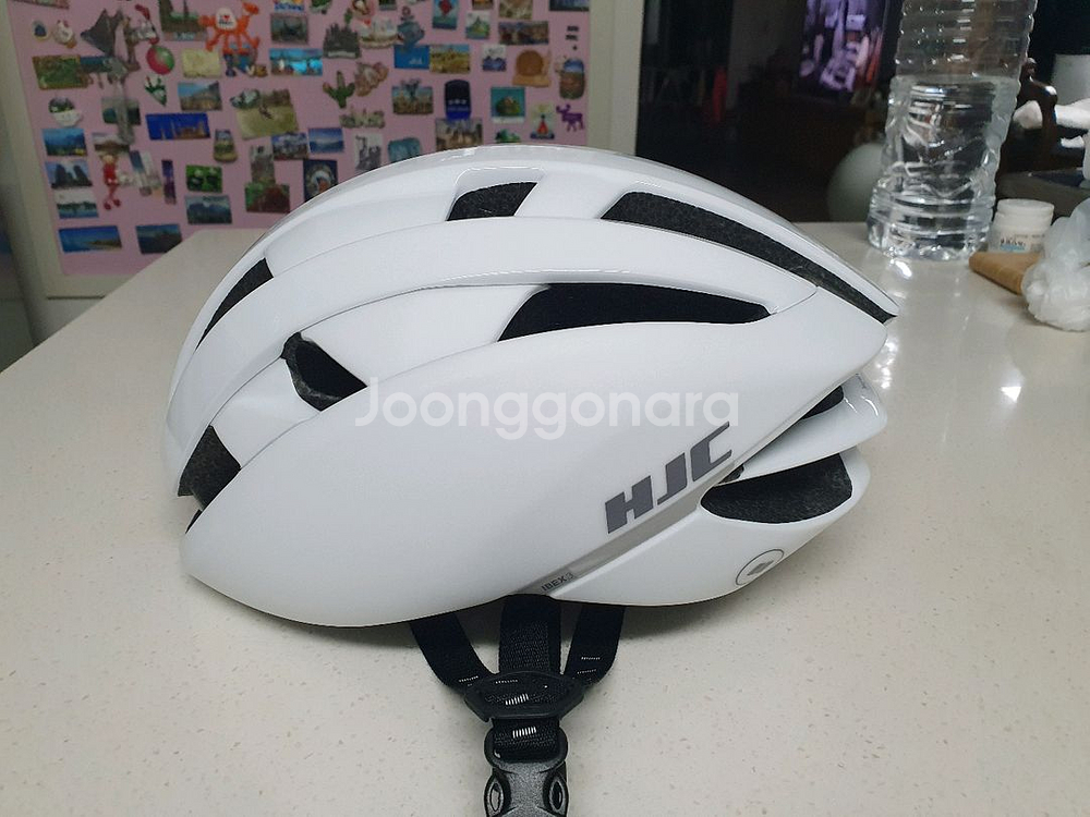 홍진 아이벡스3 M--1